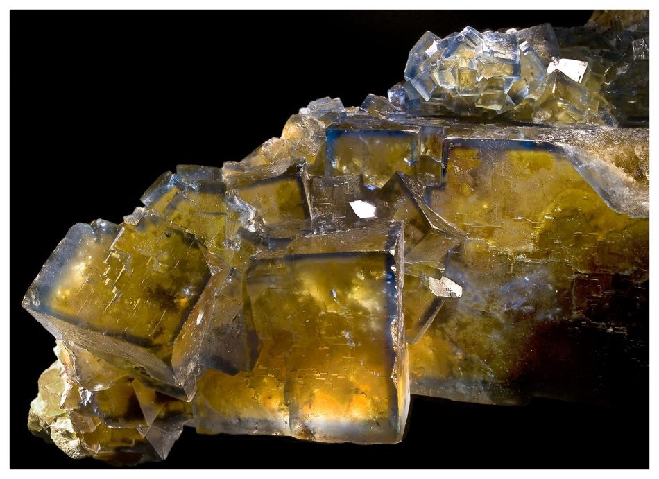 Valzergues fluorite, Aveyron: warm yellow cubic habit.