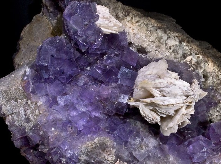 Blue-purple detail