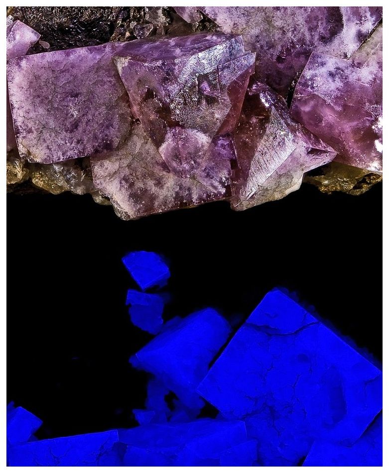 Boltsburn detail: color and fluorescence response.