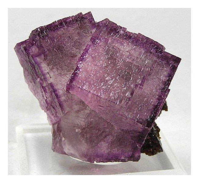Elmwood Mine fluorite, Tennessee: purple cubes on sulfide-carbonate matrix.